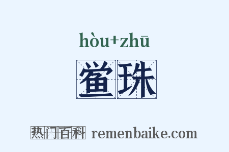 鲎珠是什么意思的图片